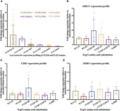 Determinants of fluconazole resistance and the efficacy of fluconazole and milbemycin oxim combination against Candida parapsilosis clinical isolates from Brazil and Turkey